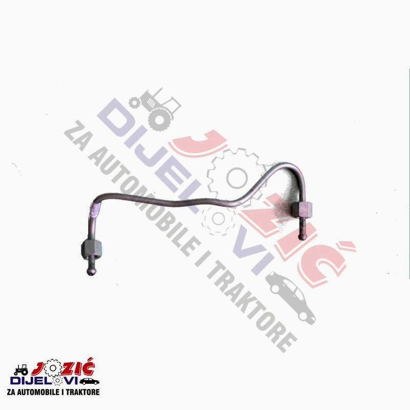 Daisy on the Ohoopee